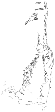 tree3 gif